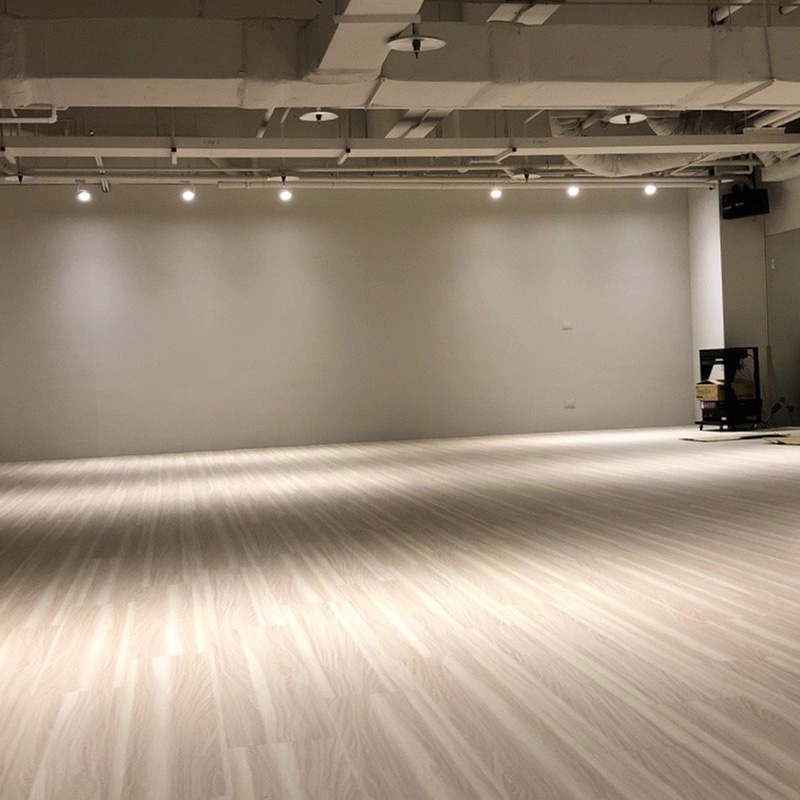 Dance Room Vinyl Floor